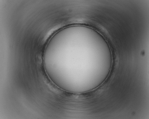 X0000112521218200909071325