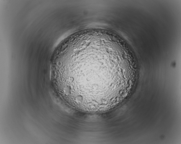 X0000112521219200909071325