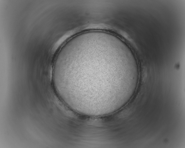 X0000112521221200909071325