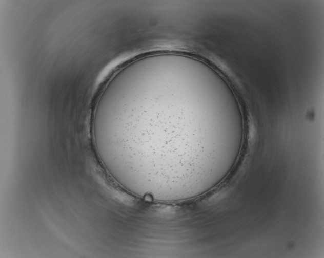 X0000112521222200909071325