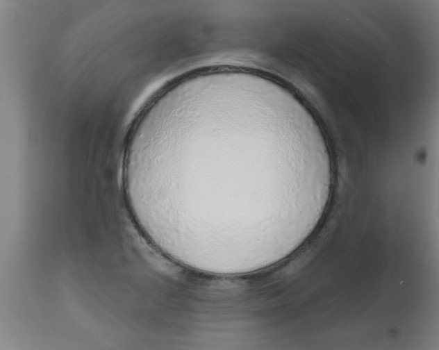 X0000112521224200909071325