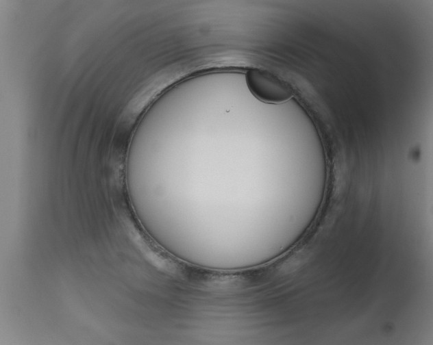 X0000112521225200909071325