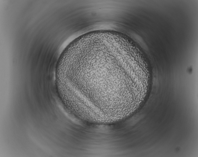 X0000112521226200909071325