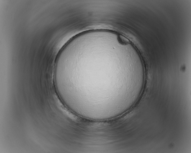 X0000112521228200909071326