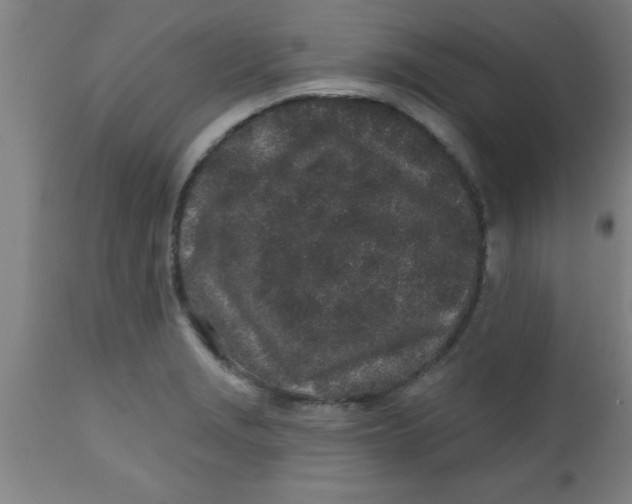 X0000112521229200909071326