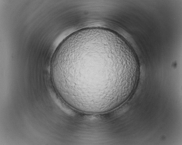 X0000112521234200909071326