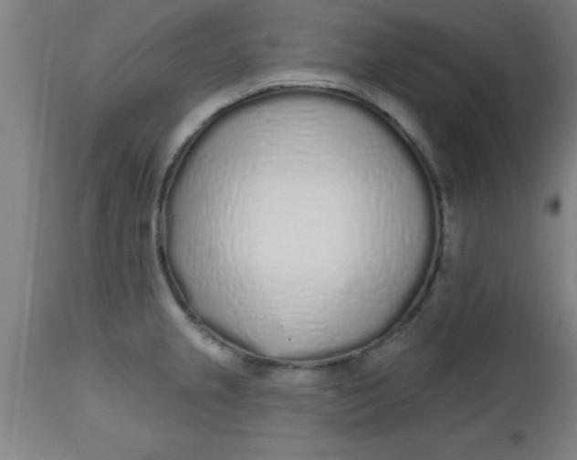 X0000112521237200909071326