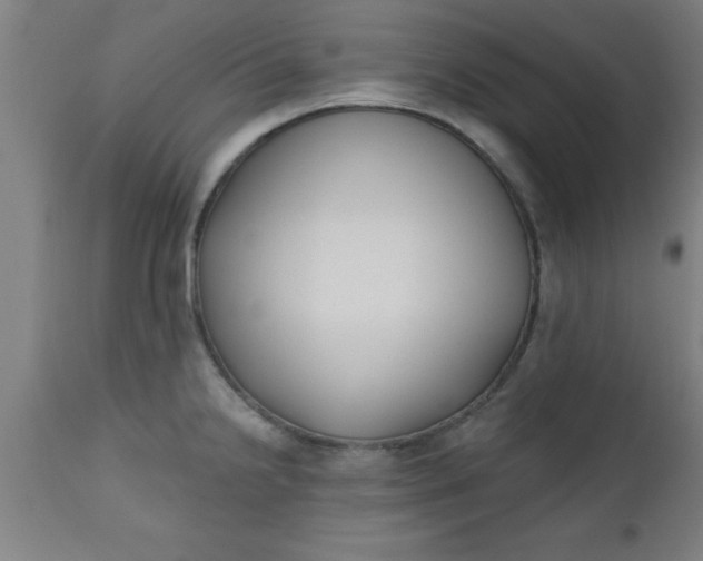 X0000112521238200909071326