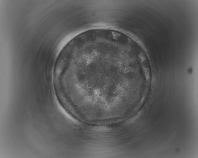 X0000112521239200909071326