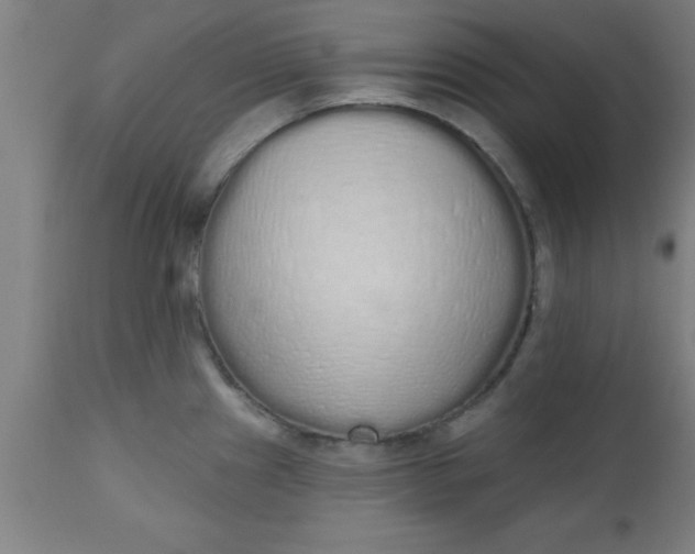 X0000112521241200909071326