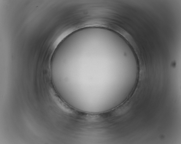 X0000112521242200909071326