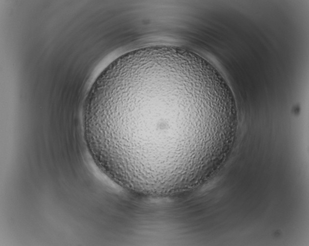X0000112521243200909071326
