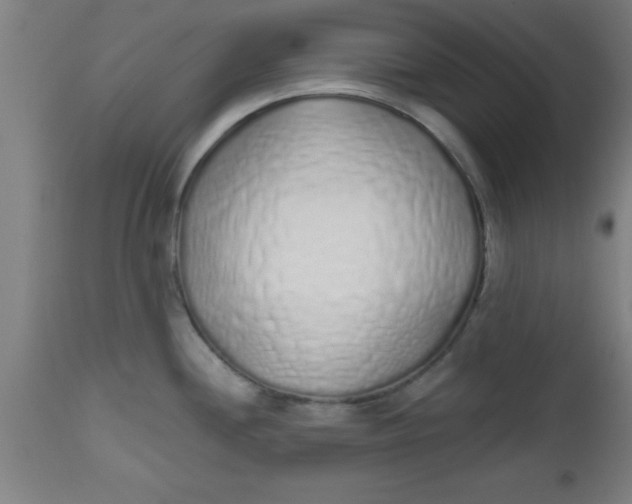 X0000112521244200909071326