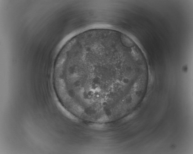 X0000112521245200909071326