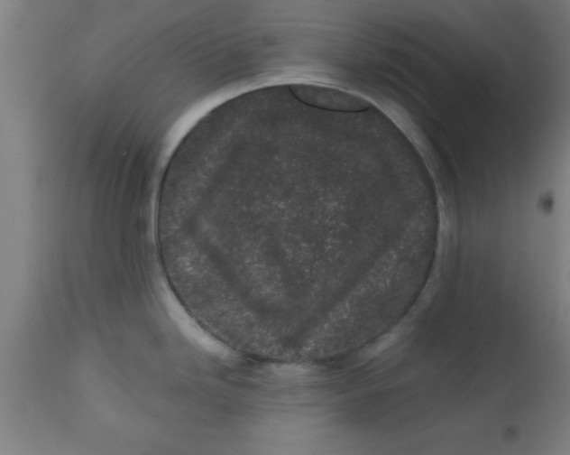 X0000112521246200909071326