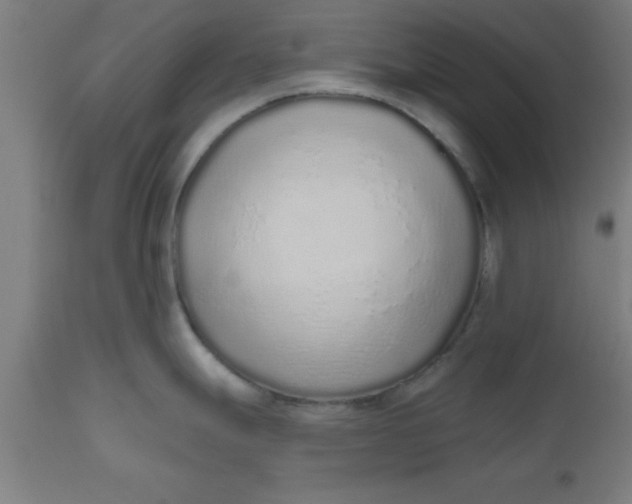 X0000112521247200909071326