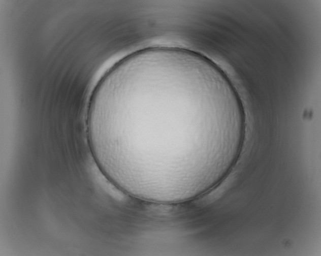 X0000112521248200909071326