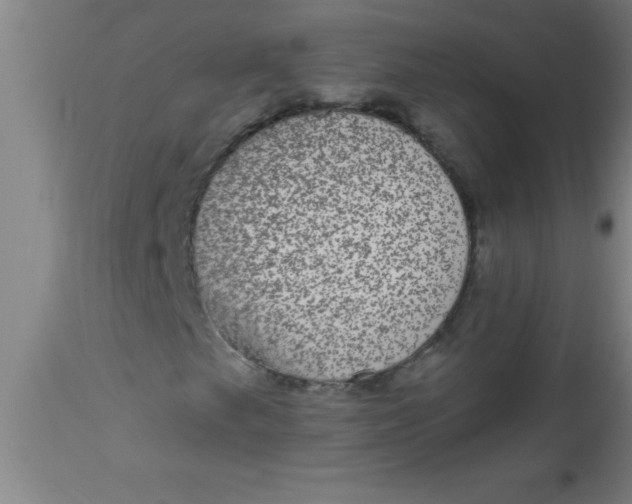 X0000112521249200909071325