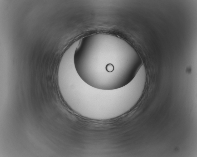 X0000112521252200909071325