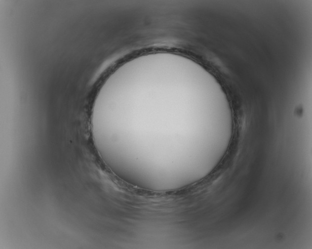 X0000112521256200909071325