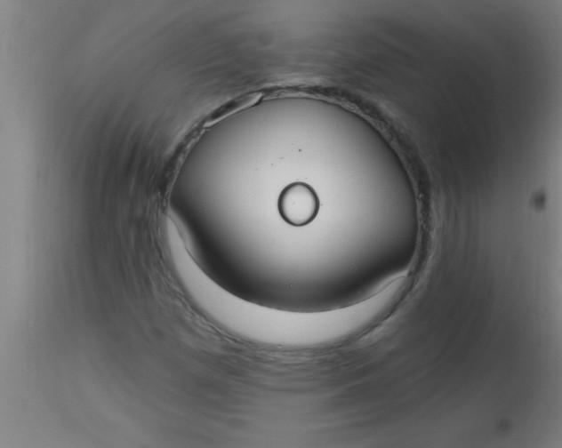 X0000112521257200909071325