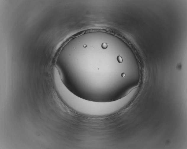 X0000112521260200909071325