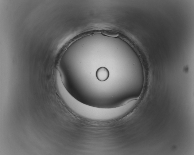 X0000112521261200909071325