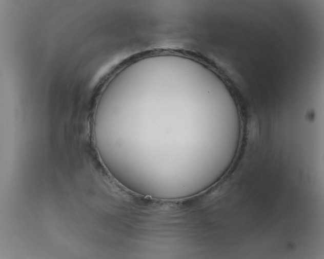 X0000112521262200909071325