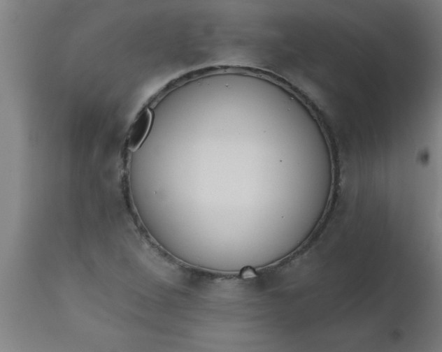 X0000112521264200909071325