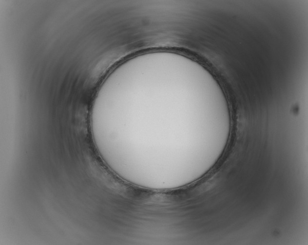 X0000112521265200909071325