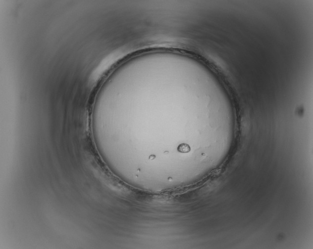 X0000112521267200909071325