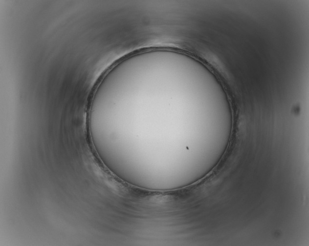 X0000112521268200909071325
