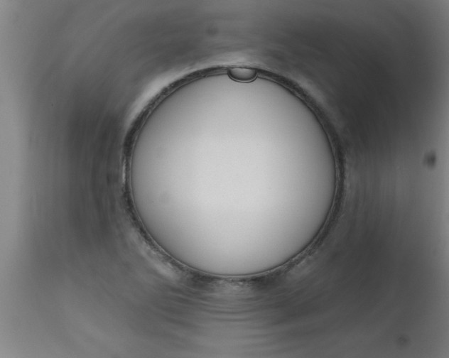 X0000112521270200909071325