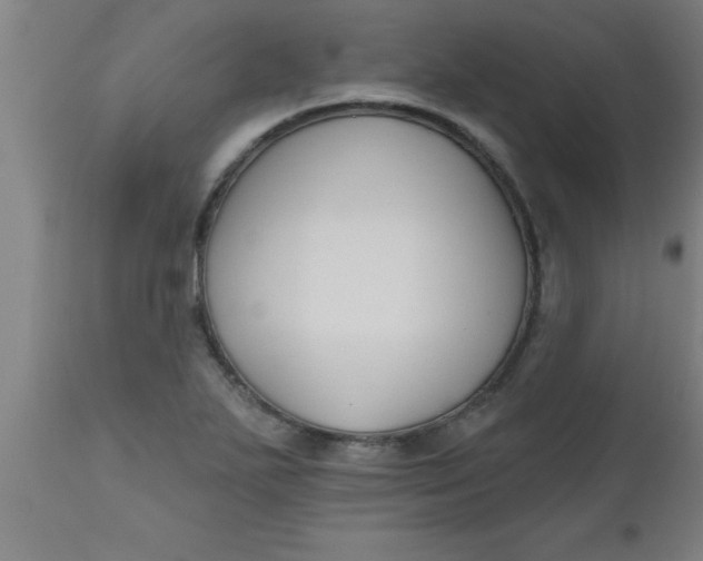 X0000112521271200909071325