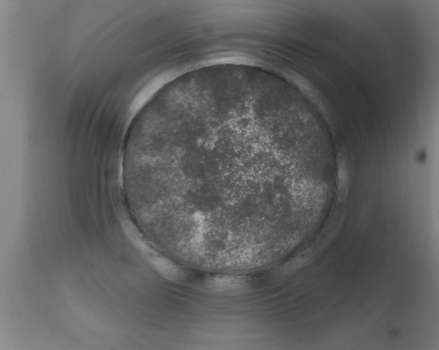 X0000112521274200909071325
