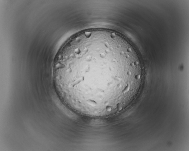 X0000112521275200909071325