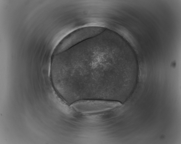 X0000112521276200909071325