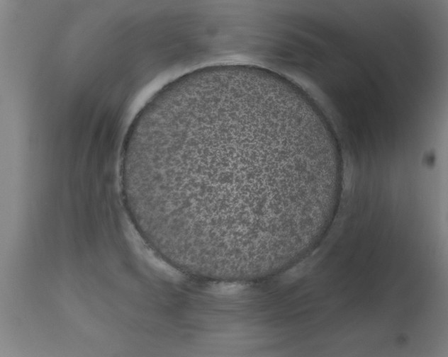 X0000112521278200909071325