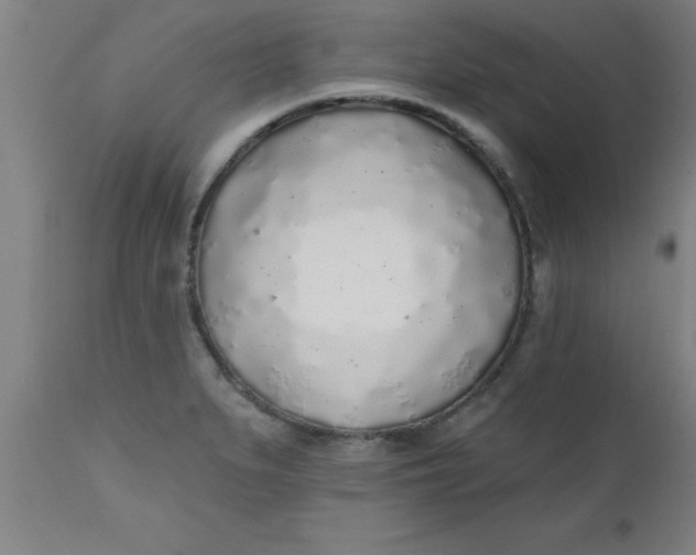 X0000112521279200909071325