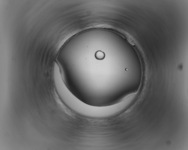 X0000112521281200909071325