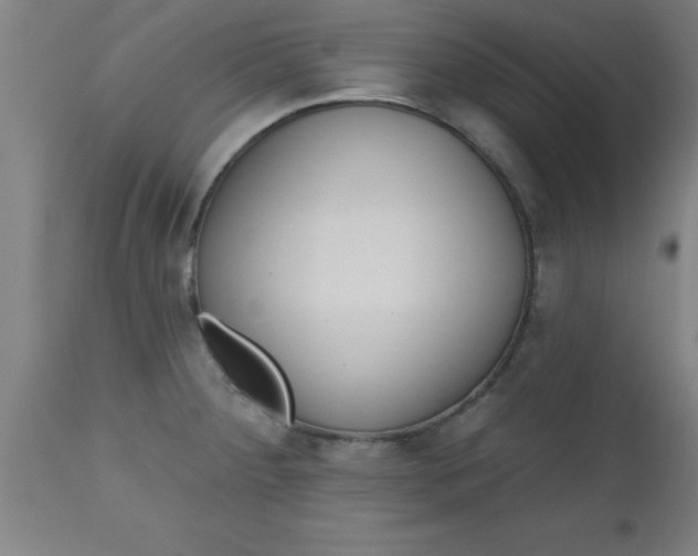 X0000112521284200909071324