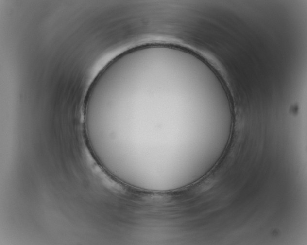 X0000112521287200909071324