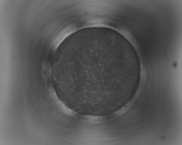 X0000112521289200909071324