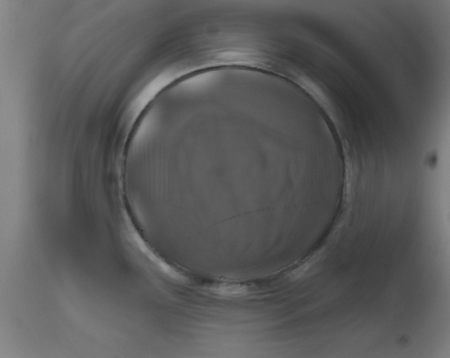 X0000112521291200909071324