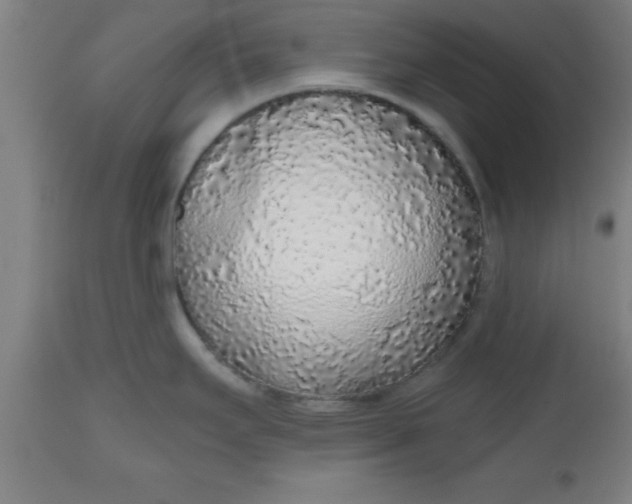 X0000112521295200909071324