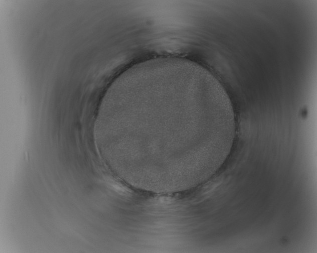X0000112521297200909071323