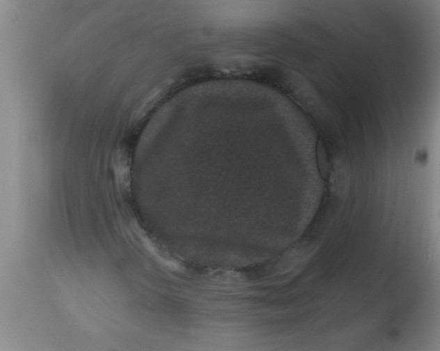 X0000112521298200909071323
