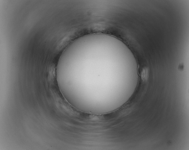 X0000112521299200909071323