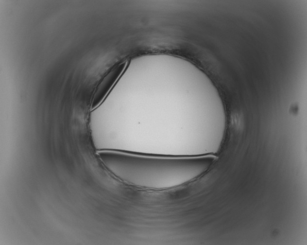 X0000112521300200909071323
