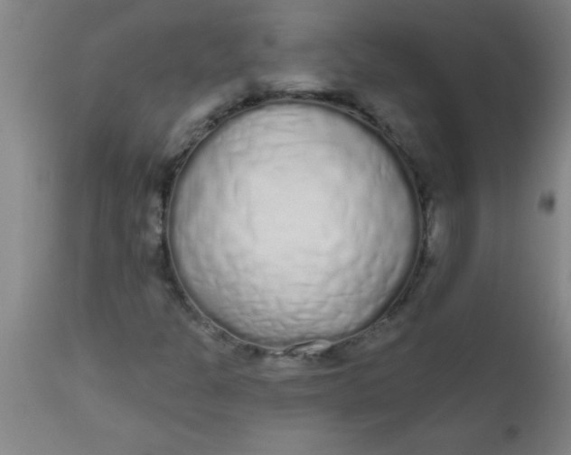 X0000112521301200909071323